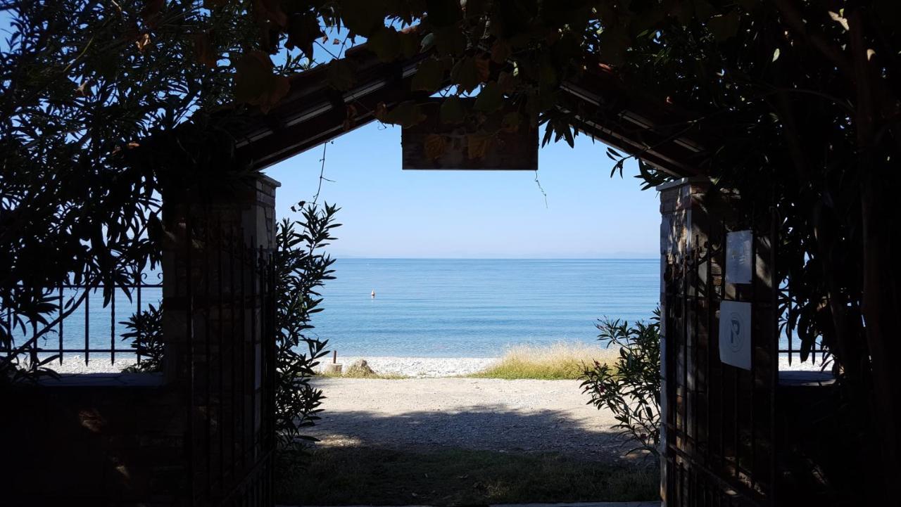 Niki House Διαμέρισμα Χόρτο Εξωτερικό φωτογραφία