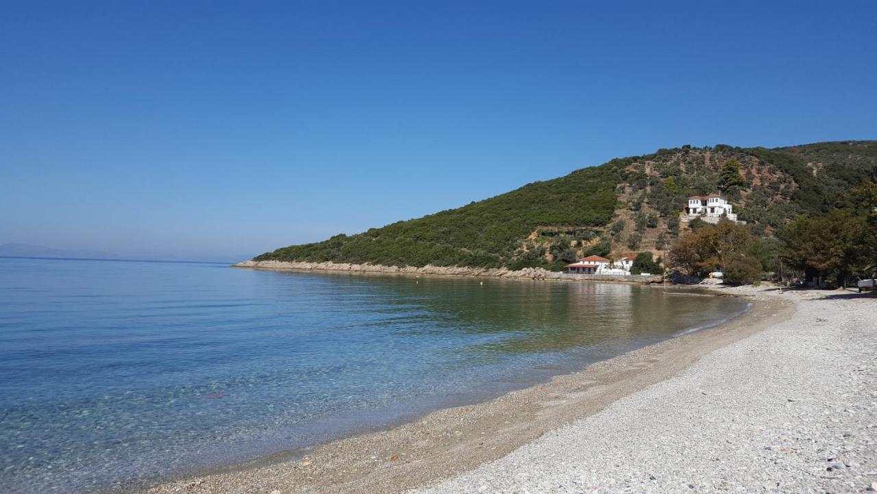 Niki House Διαμέρισμα Χόρτο Εξωτερικό φωτογραφία