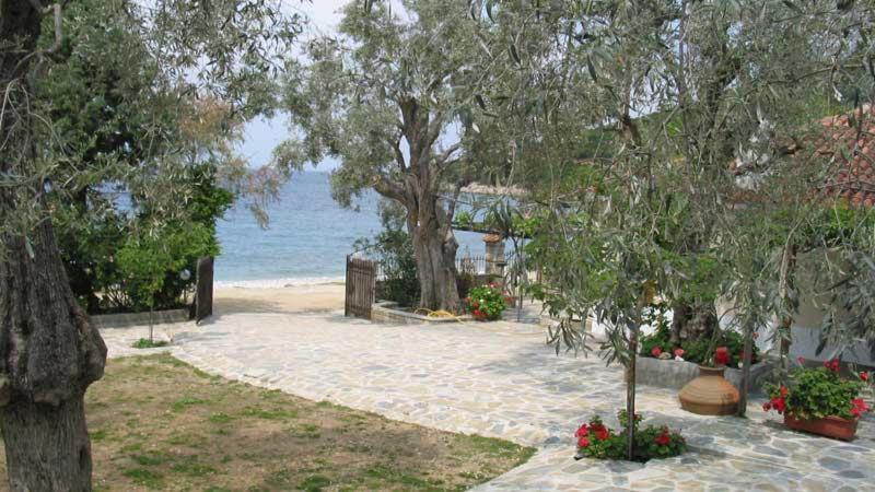 Niki House Διαμέρισμα Χόρτο Εξωτερικό φωτογραφία
