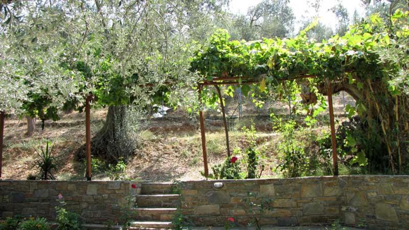 Niki House Διαμέρισμα Χόρτο Εξωτερικό φωτογραφία