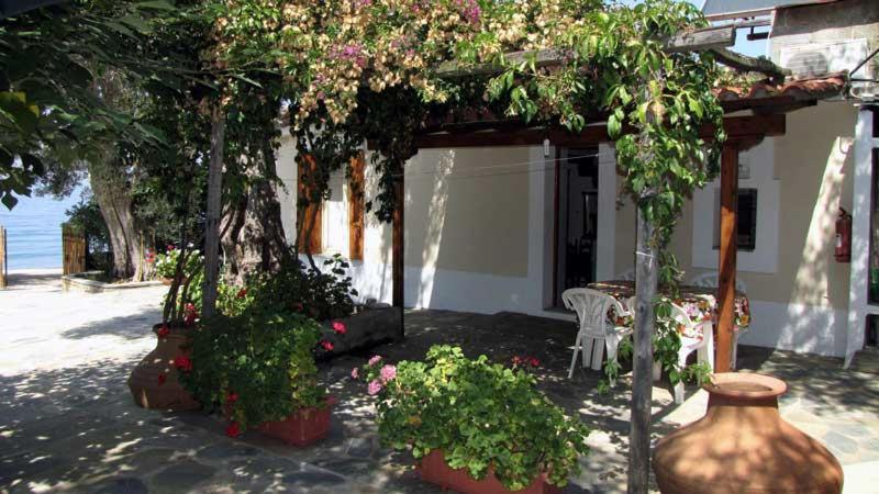 Niki House Διαμέρισμα Χόρτο Εξωτερικό φωτογραφία