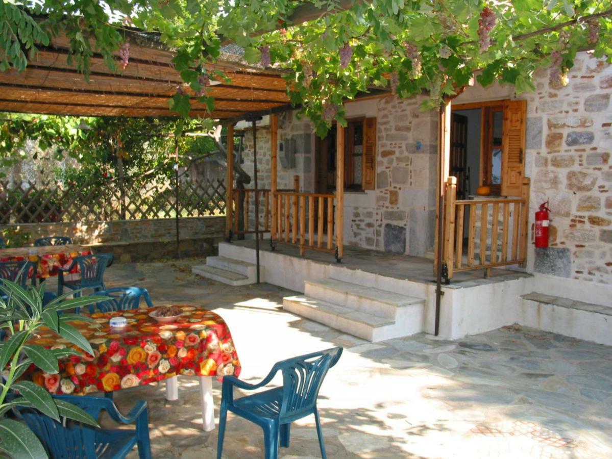 Niki House Διαμέρισμα Χόρτο Εξωτερικό φωτογραφία