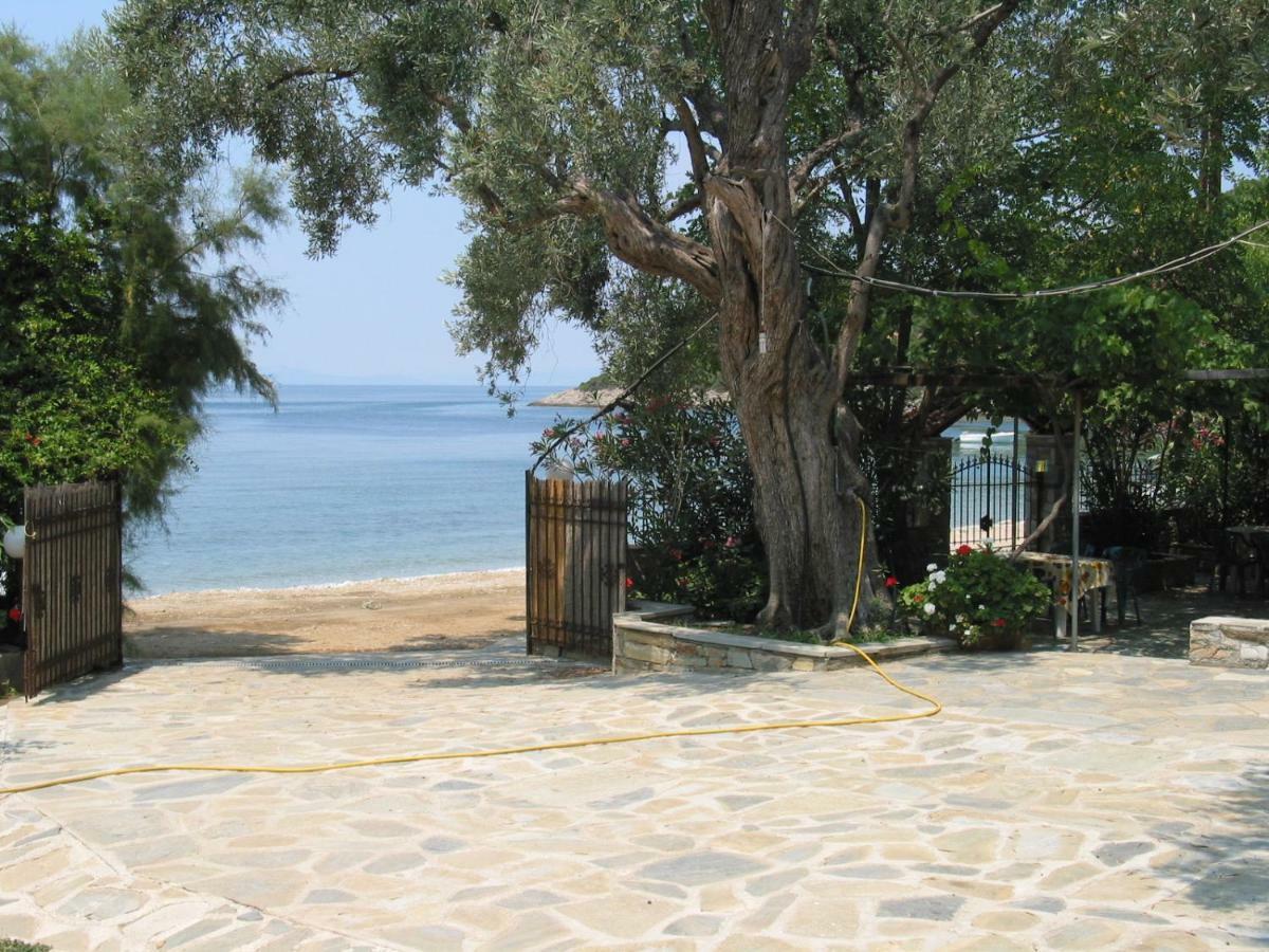 Niki House Διαμέρισμα Χόρτο Εξωτερικό φωτογραφία