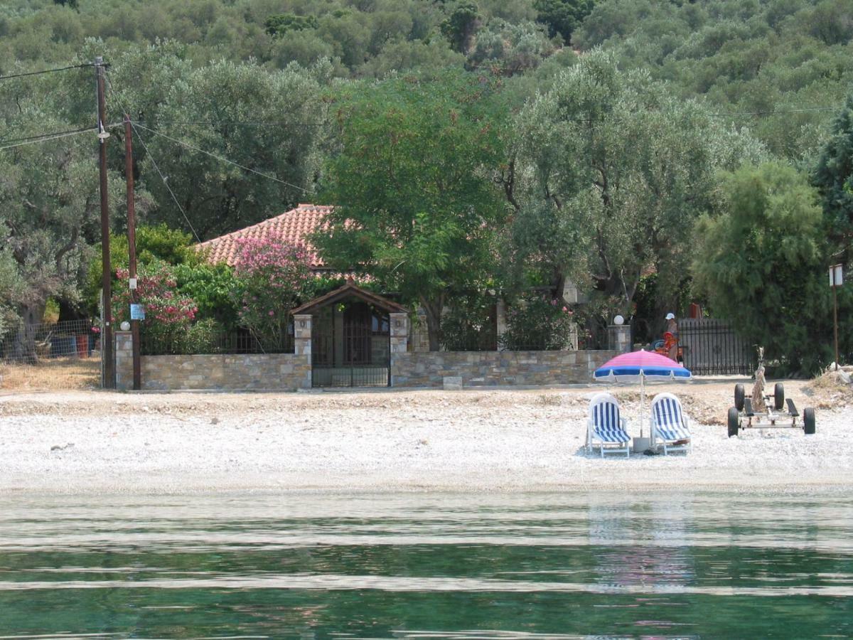 Niki House Διαμέρισμα Χόρτο Εξωτερικό φωτογραφία
